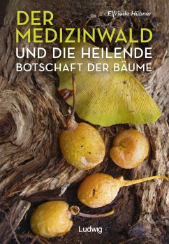 Der Medizinwald und die heilende Botschaft der Bäume. - Hübner, Elfriede