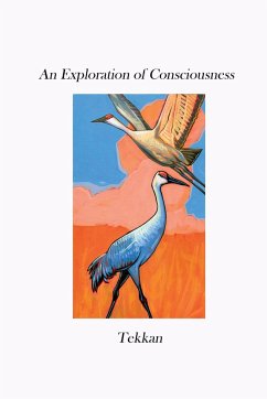 An Exploration of Consciousness V - Tekkan