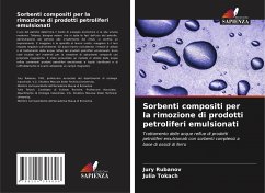 Sorbenti compositi per la rimozione di prodotti petroliferi emulsionati - Rubanov, Jury;Tokach, Julia