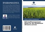 Nährstoffmanagement-Modul für die Senfpflanze (Brassica juncea)