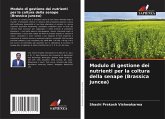 Modulo di gestione dei nutrienti per la coltura della senape (Brassica juncea)