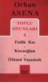 Toplu Oyunlari 4