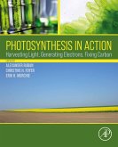 Photosynthesis in Action (eBook, ePUB)