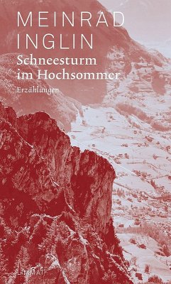 Schneesturm im Hochsommer (eBook, ePUB) - Inglin, Meinrad