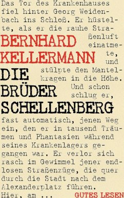 Die Brüder Schellenberg (eBook, ePUB)