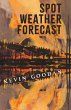 Spot Weather Forecast (eBook, ePUB) - Bild 1
