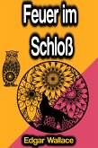 Feuer im Schloß (eBook, ePUB)