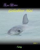 Geliebter Hai (eBook, ePUB)