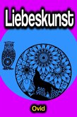 Liebeskunst (eBook, ePUB)