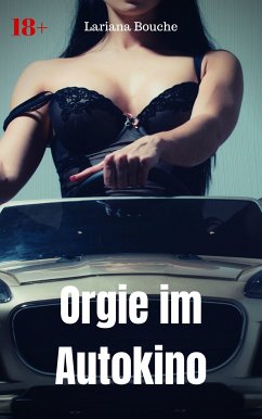 Orgie im Autokino (eBook, ePUB) - Bouche, Lariana