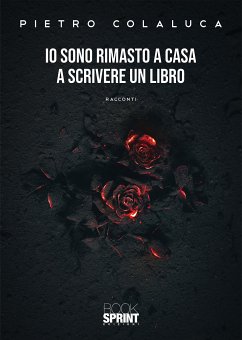 Io sono rimasto a casa a scrivere un libro (eBook, ePUB) - Colaluca, Pietro