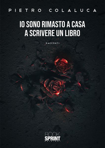 Io sono rimasto a casa a scrivere un libro (eBook, ePUB) Io sono rimasto a casa a scrivere un libro (eBook, ePUB)