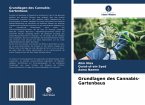 Grundlagen des Cannabis-Gartenbaus
