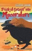 Püskül Cetesinin Maceralari