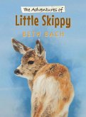 The Adventures of Little Skippy The Adventures of Little Skippy