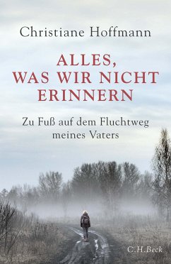 Alles, was wir nicht erinnern (eBook, PDF) - Hoffmann, Christiane