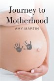 Journey to Motherhood (eBook, ePUB)