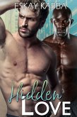 Hidden Love (Hidden Love Series, #1) (eBook, ePUB)
