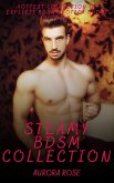 Steamy BDSM Collection - Volume 1 (eBook, ePUB)