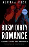 BDSM Dirty Romance - Volume 10 (eBook, ePUB)