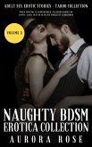 Naughty BDSM Erotica - Volume 3 (eBook, ePUB)