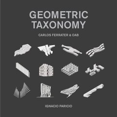 Geometric Taxonomy (eBook, ePUB) - Paricio, Ignacio