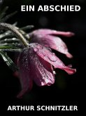 Ein Abschied (eBook, ePUB)