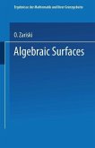 Algebraic Surfaces (eBook, PDF)