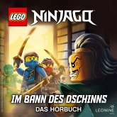 Im Bann des Dschinns (Band 04) (MP3-Download)