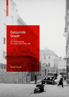 Gesunde Stadt (eBook, PDF) - Knauer, Birgit