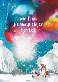 Wie Finn die Nordlichter rettet (eBook, ePUB)