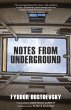 Notes from Underground (Warbler... - Bild 1