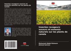 Insectes ravageurs suceurs et ennemis naturels sur les plants de canola - Abdel-Raheem, Mohamed;Salman, Ahmed