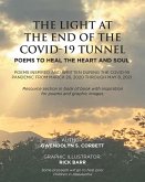 The Light At The End Of The Covid-19 Tunnel (eBook, ePUB)