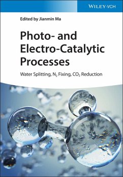 Photo- and Electro-Catalytic Processes (eBook, PDF)
