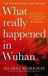 What Really Happened In Wuhan - Bild 1
