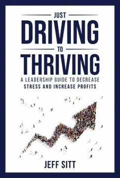Just Driving to Thriving - Sitt, Jeff