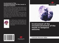 Involvement of the insulaInvolvement of the insula in temporal seizures - Hassane Djibo, Fatimata