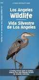 Los Angeles Wildlife/Vida Silvestre de Los Angeles Los Angeles Wildlife/Vida Silvestre de Los Angeles