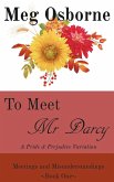 To Meet Mr Darcy