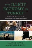 The Illicit Economy in Turkey