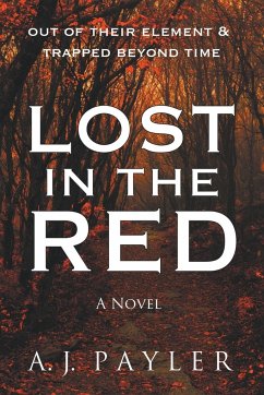 Lost In the Red - Payler, A. J.