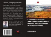 L'idéologie du printemps arabe comme une panacée aux difficultés socio-économiques actuelles du Zimbabwe