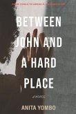 Between John and a Hard Place: From Congo to America, a kidnap story.