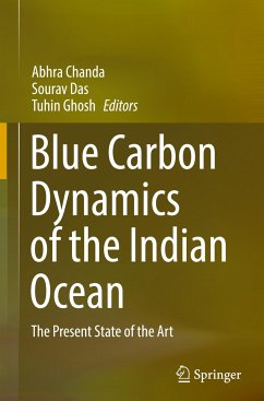 Blue Carbon Dynamics of the Indian Ocean