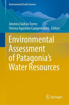 Environmental Assessment of Patagonia's Water Resources (eBook, PDF)