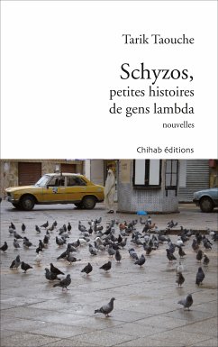 Schyzos, petites histoires de gens lambda (eBook, ePUB) - Taouche, Tarik