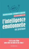 L'intelligence émotionnelle en pratique (eBook, ePUB)