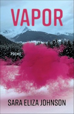 Cover Vapor (eBook, ePUB)