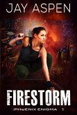 Firestorm (The Phoenix Enigma, #3) (eBook, ePUB)